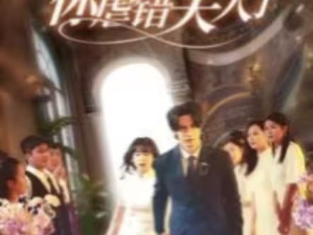 陆总住手吧，你虐错夫人了第1-20集