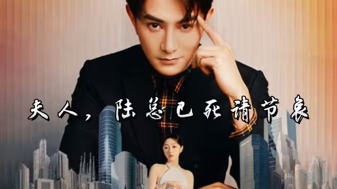 夫人，陆总已死请节哀第31-60集