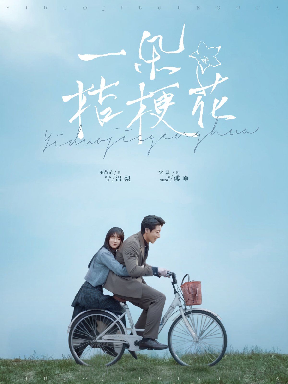 一朵桔梗花第1-20集