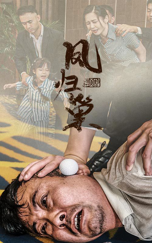 新版：凤归巢第1-20集