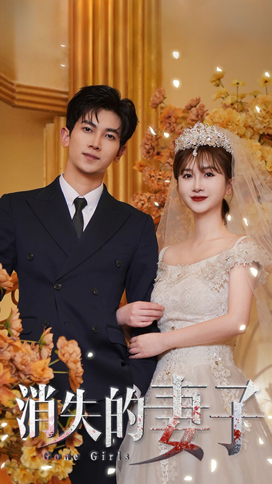 新：消失的妻子全集(大结局)