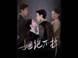 她跑不掉全集(大结局)