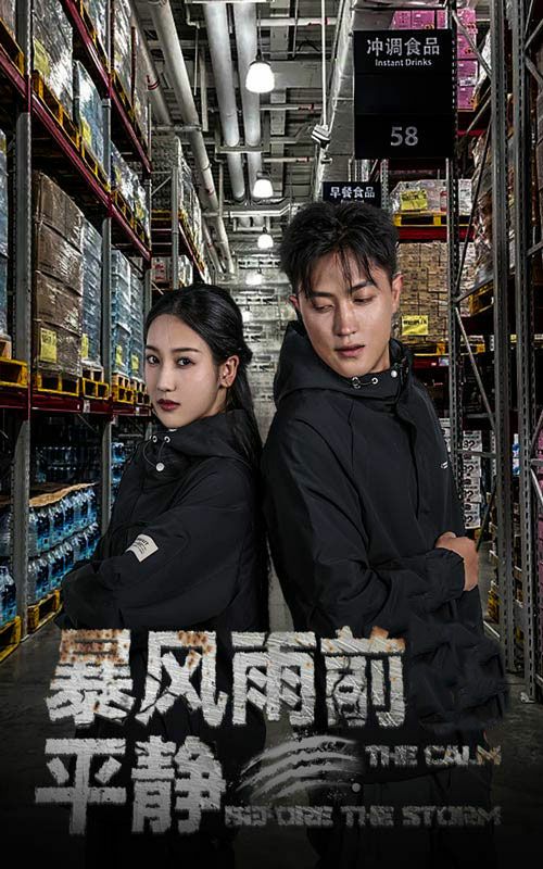 暴风雨前的平静全集(大结局)