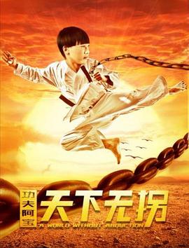功夫阿宝：天下无拐HD