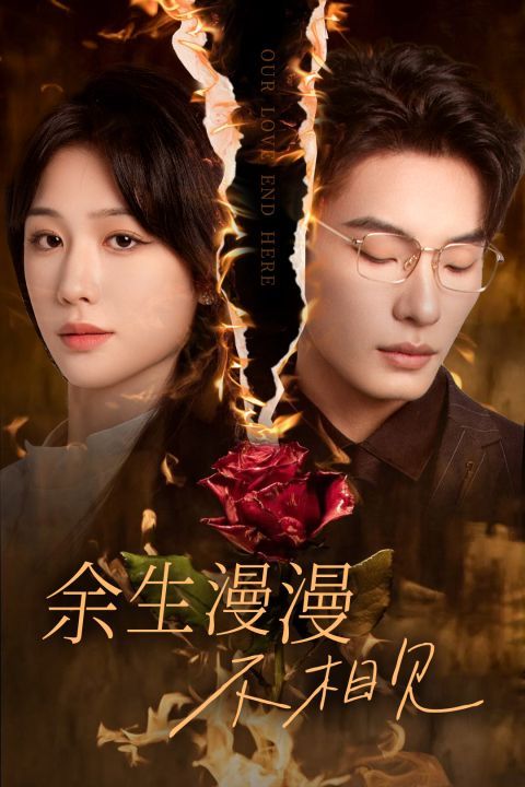 余生漫漫不相见（我们的爱到此为止）全集完结(大结局)