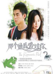 那个傻瓜爱过你高清