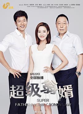 超级翁婿第17集