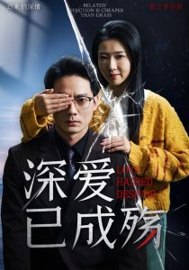 深爱已成殇全集(大结局)