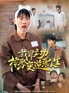 戴罪立功核聚变逆袭人生(全集)