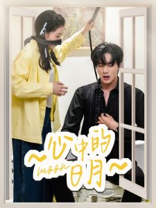 心中的日月全集(大结局)