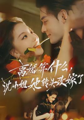 离婚算什么，沈小姐她转头改嫁了(全集)