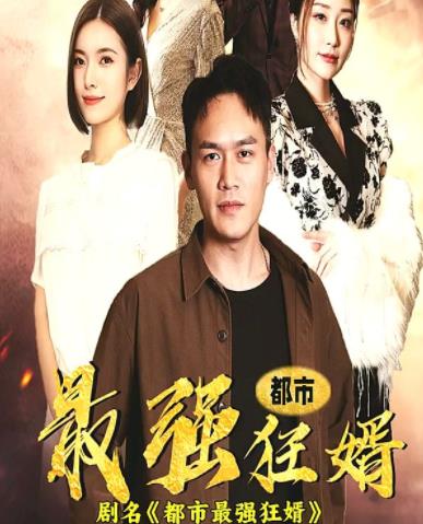 都市最强狂婿第53集