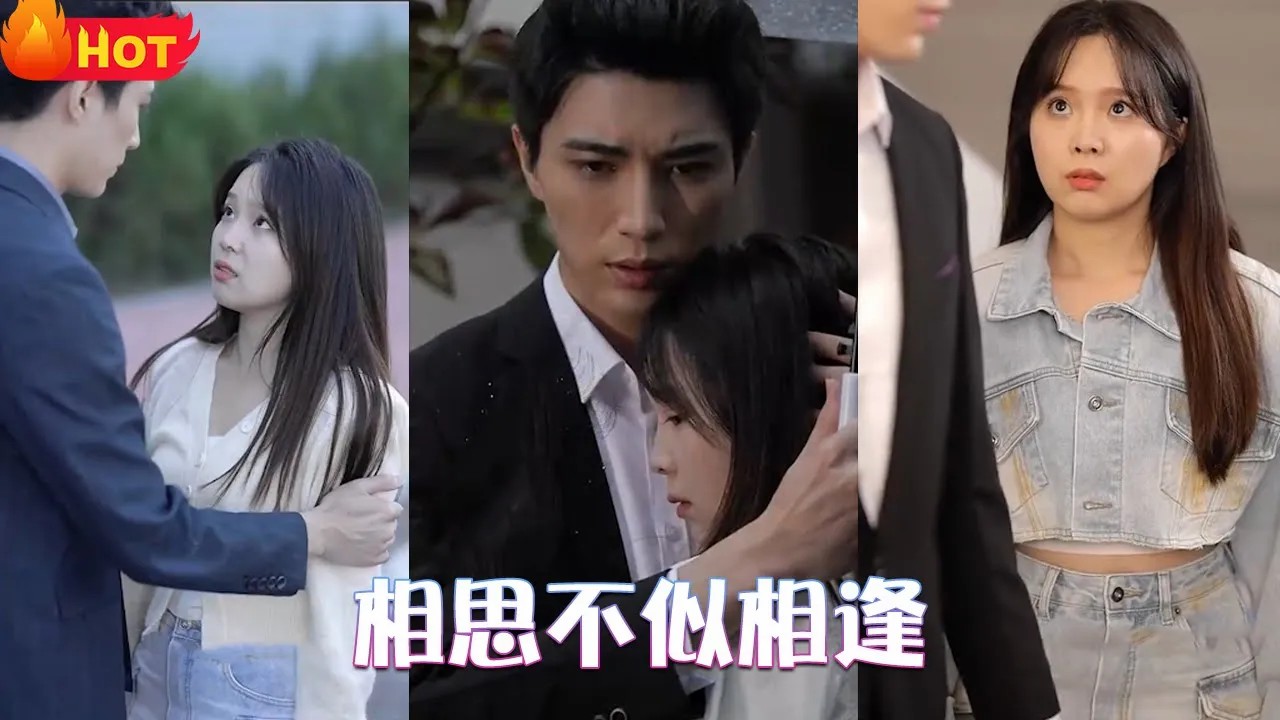 相思不似相逢(全集)